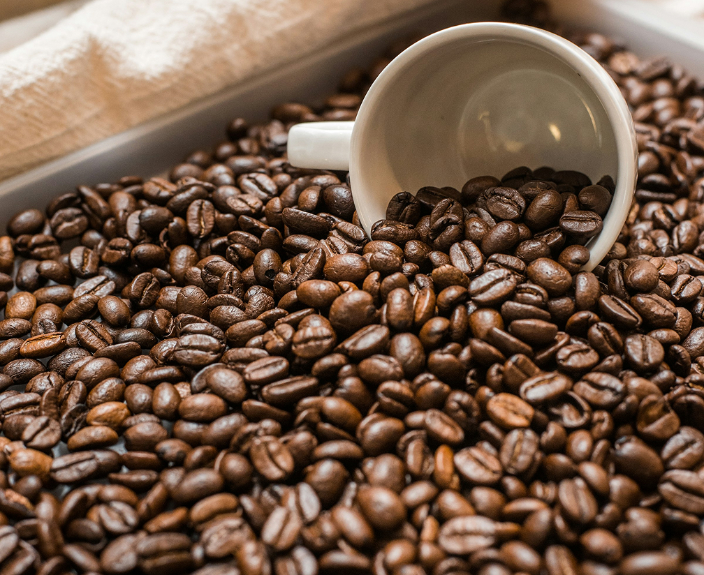 Weiße Tasse liegt in einem Haufen glänzender, frisch gerösteter Kaffeebohnen.