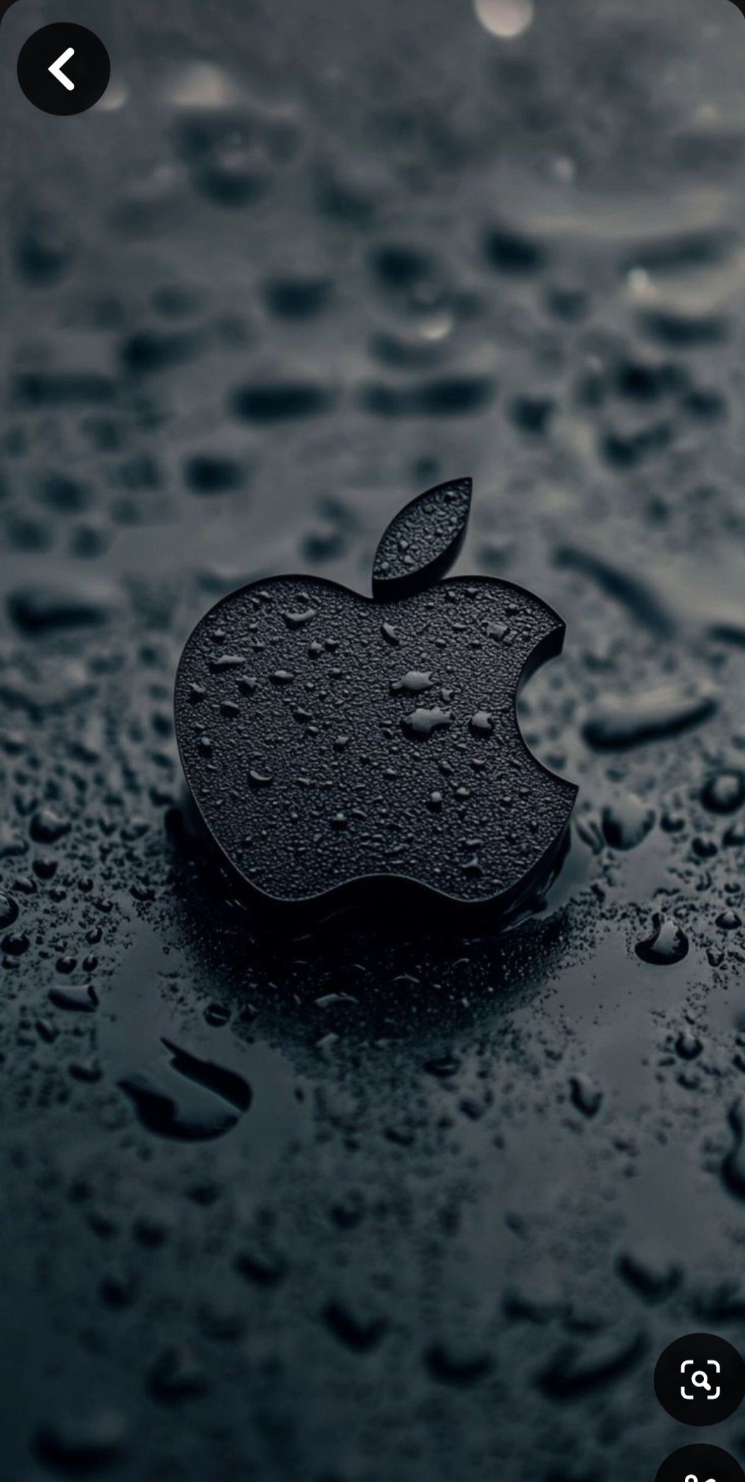 image of raw material processing stage