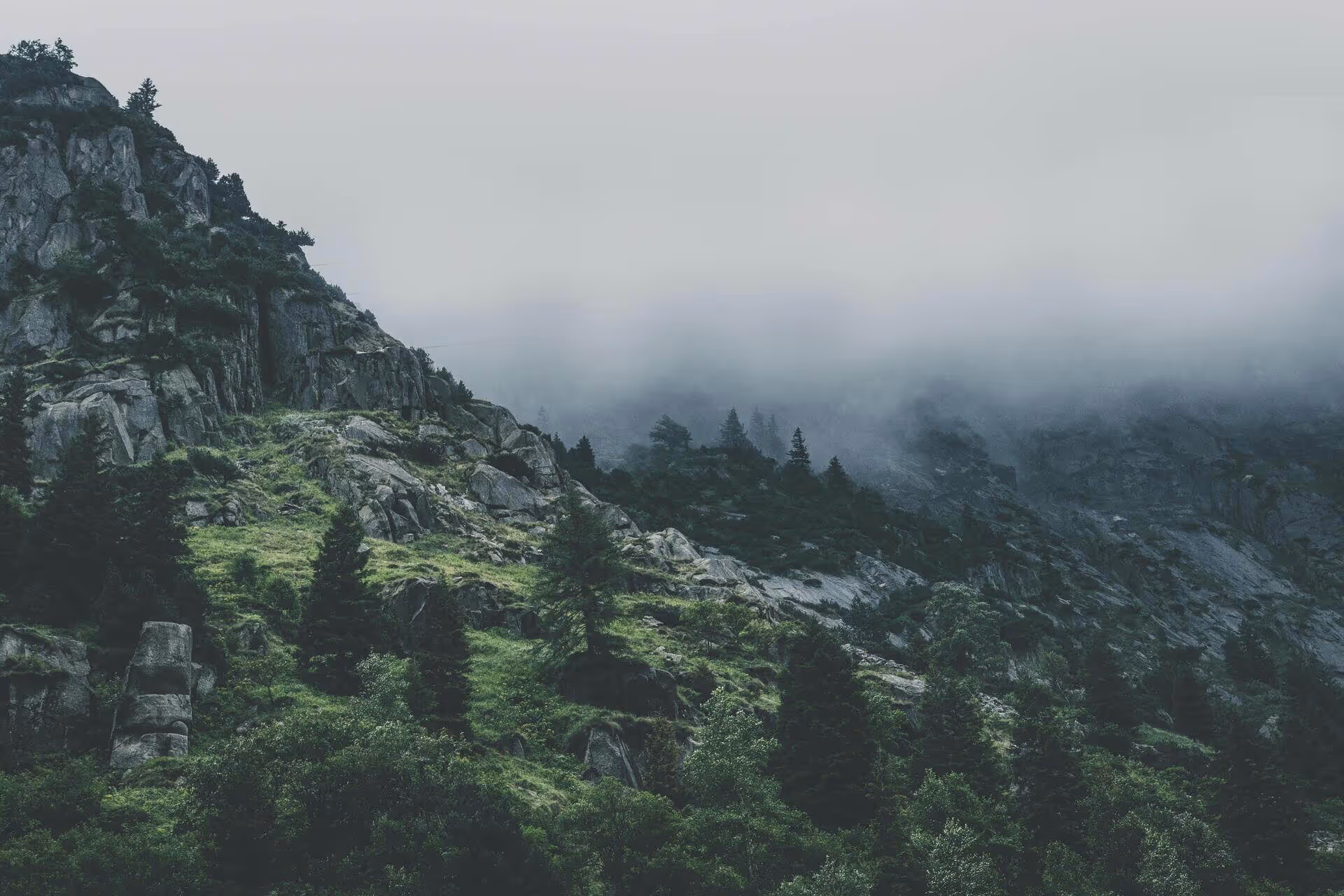 Beautiful mountain with fog