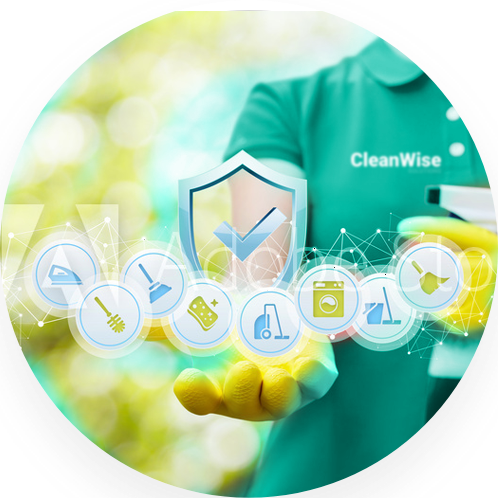 Clean Wise Solutions Website Image

