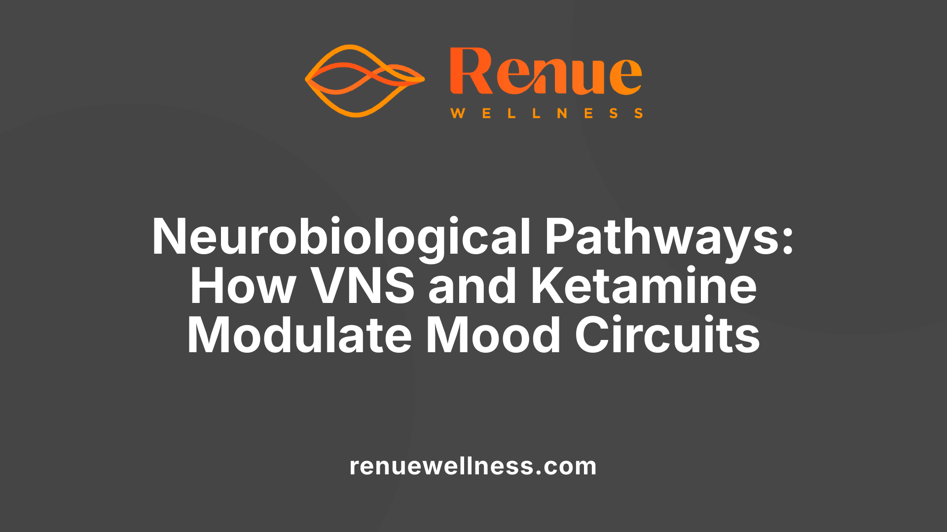 Neurobiological Pathways: How VNS and Ketamine Modulate Mood Circuits
