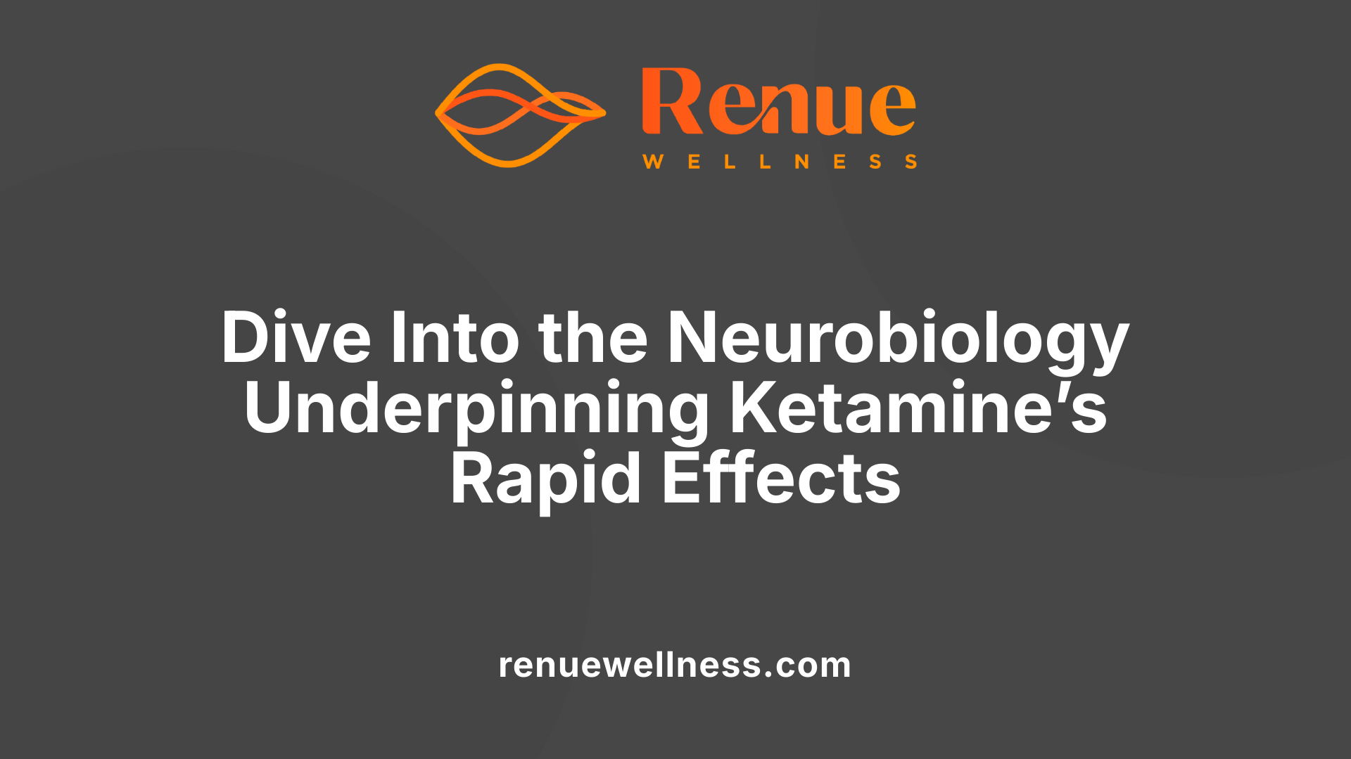 Dive Into the Neurobiology Underpinning Ketamine’s Rapid Effects