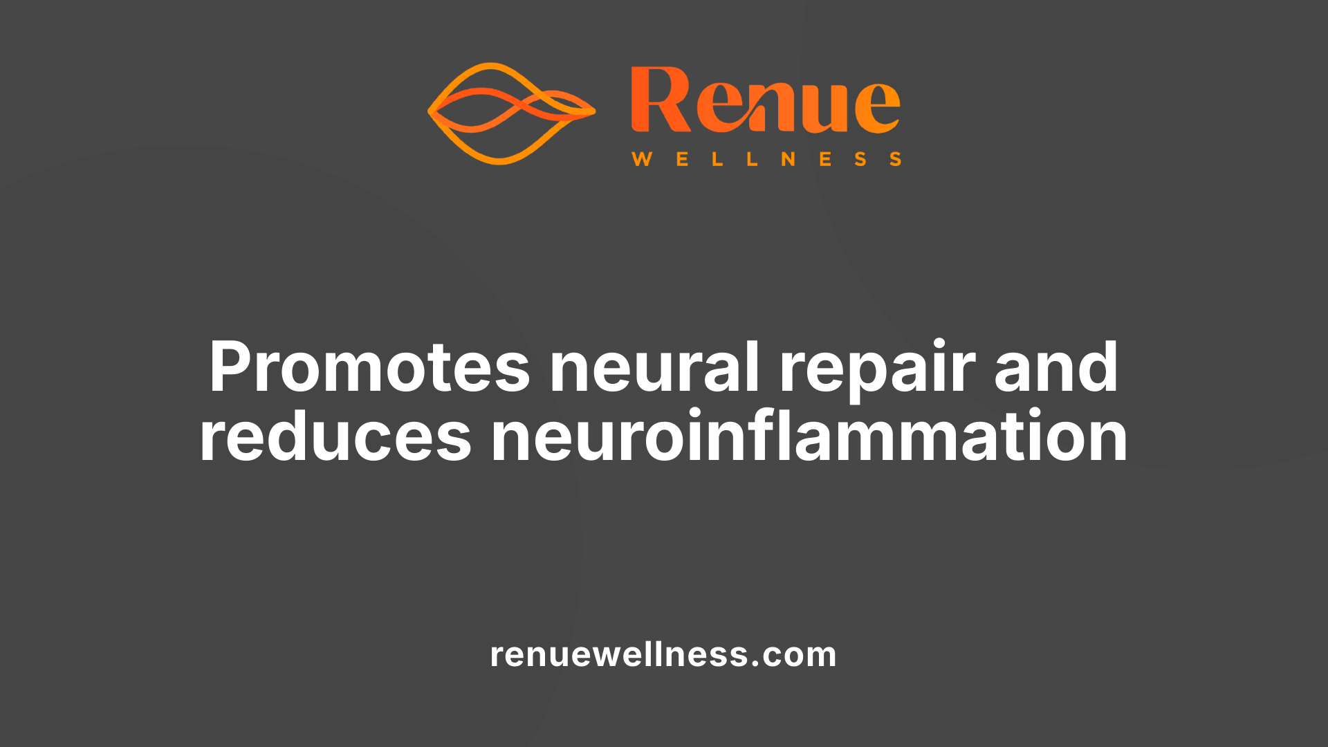 Promotes neural repair and reduces neuroinflammation