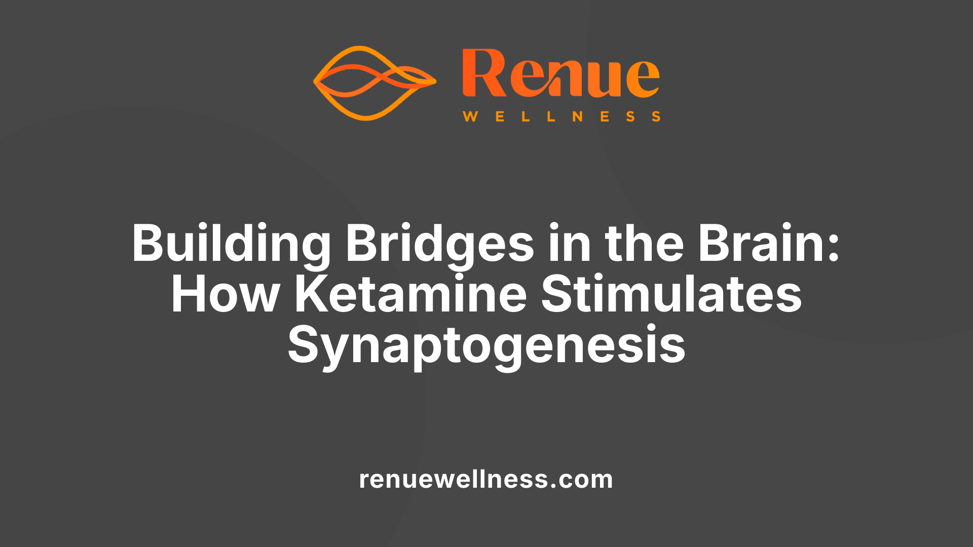 Building Bridges in the Brain: How Ketamine Stimulates Synaptogenesis