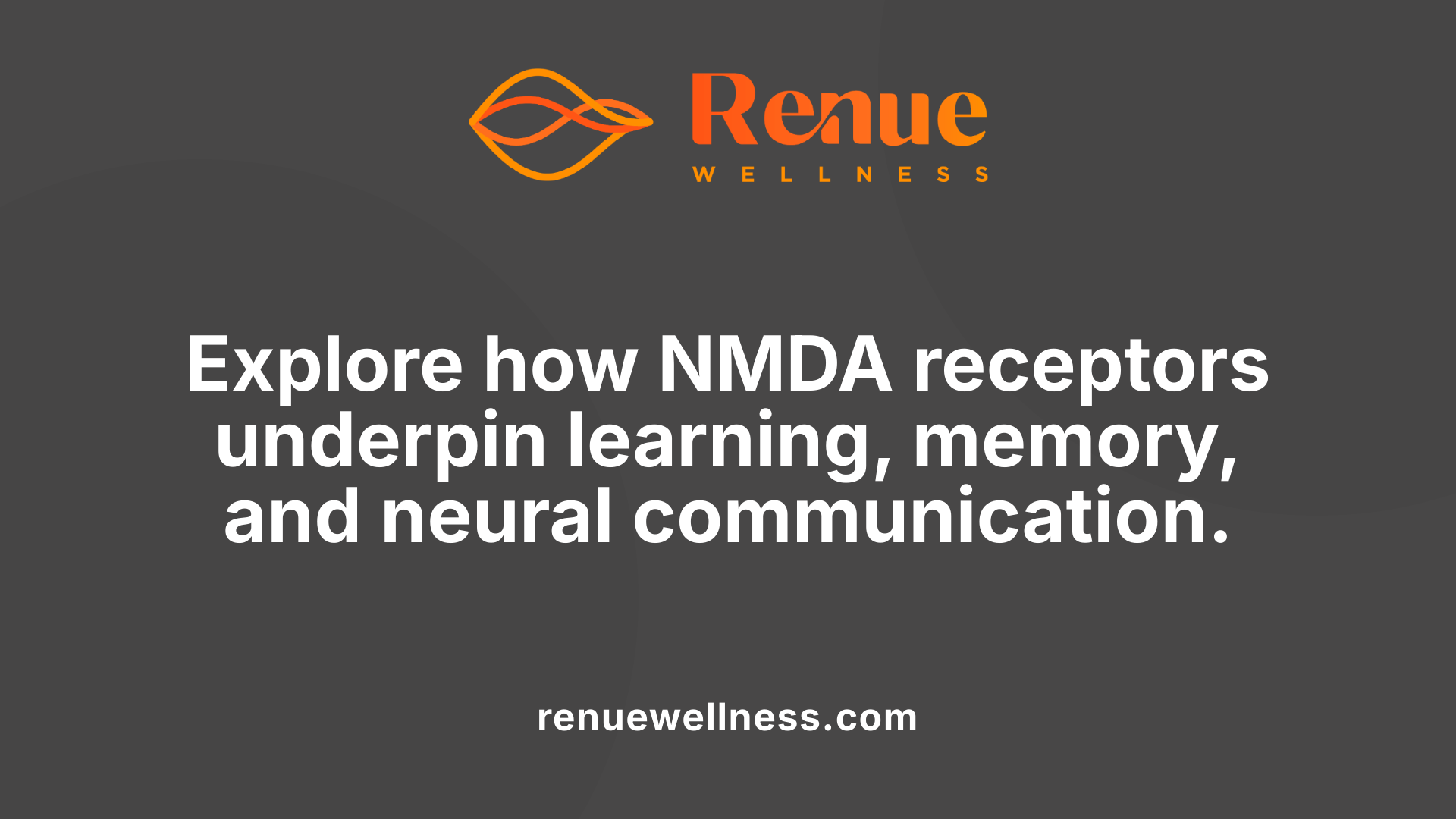 Explore how NMDA receptors underpin learning, memory, and neural communication.