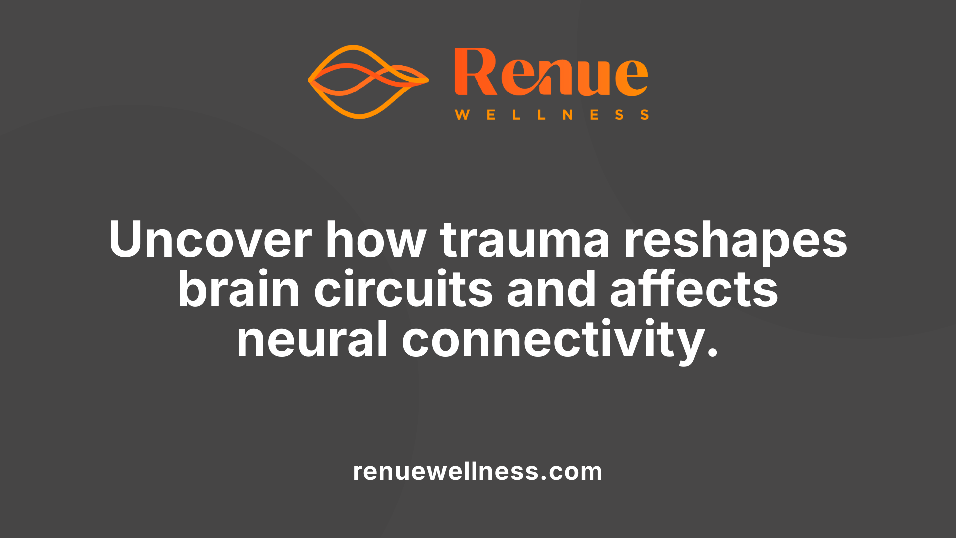 Uncover how trauma reshapes brain circuits and affects neural connectivity.