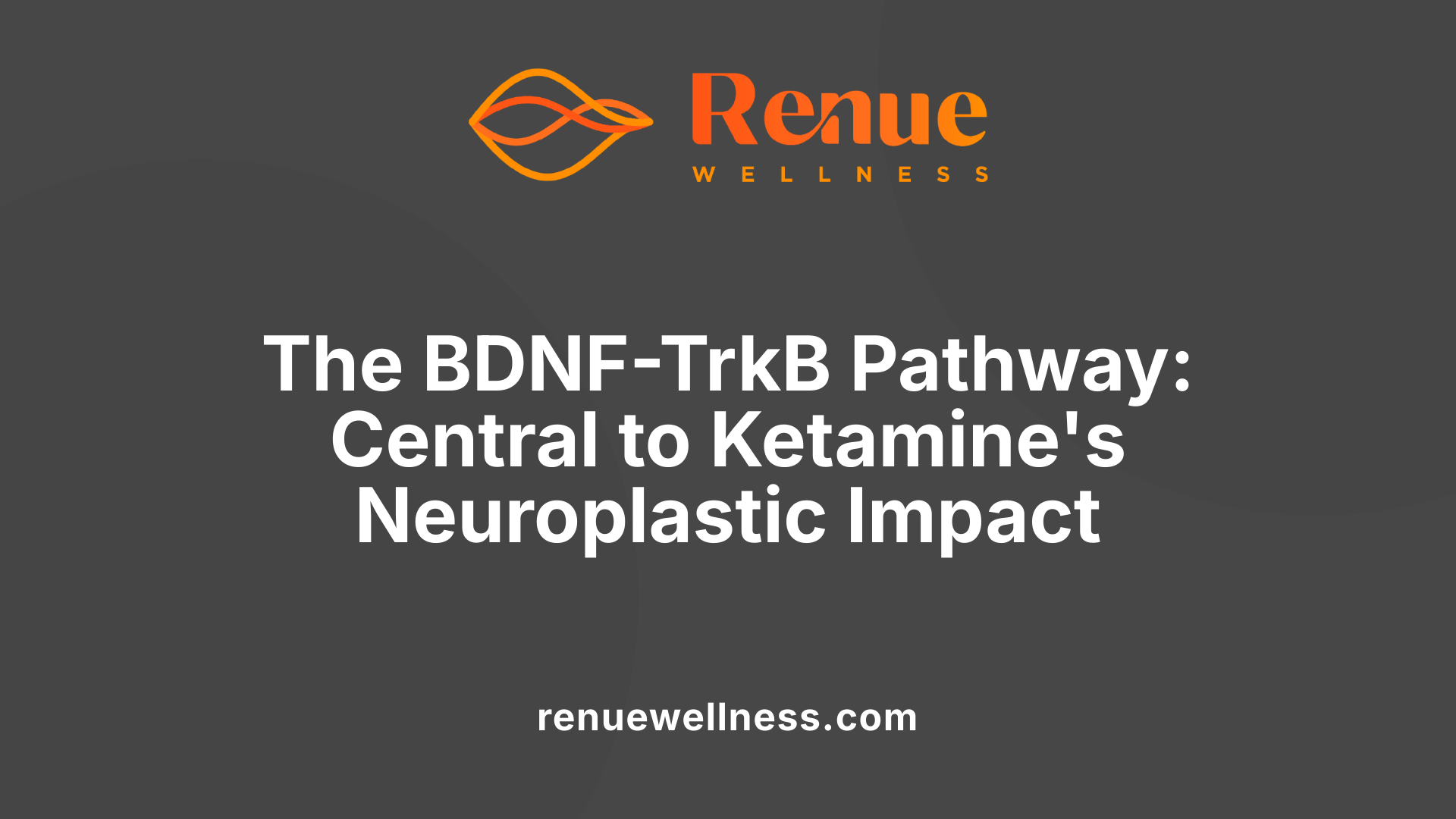 The BDNF-TrkB Pathway: Central to Ketamine's Neuroplastic Impact