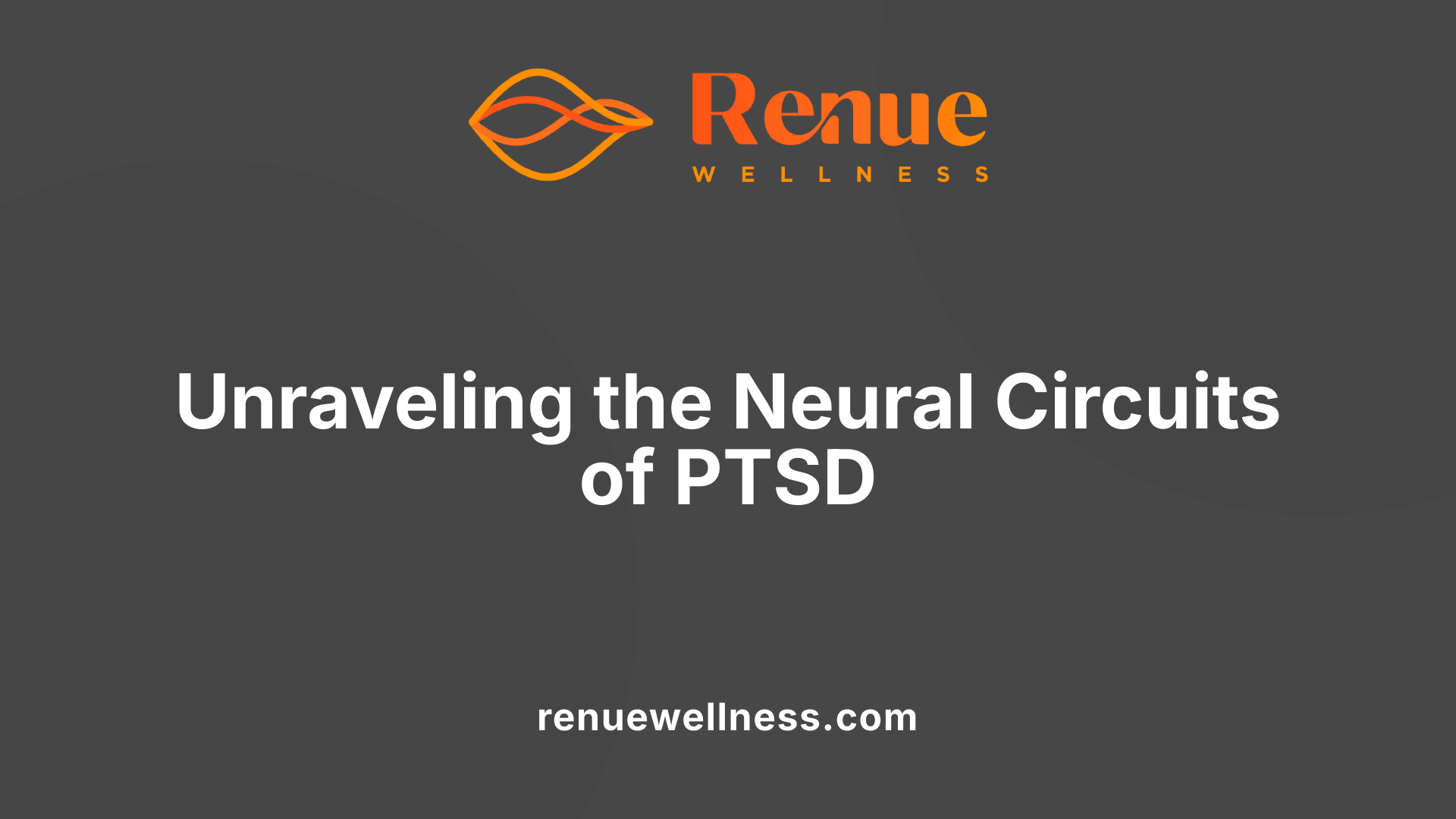 Unraveling the Neural Circuits of PTSD