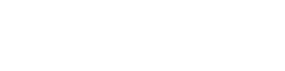 Webflow main logo