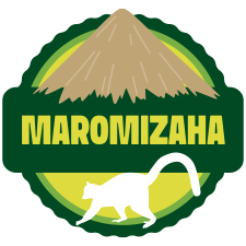 Maromizaha
