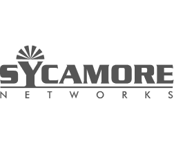 Sycamore