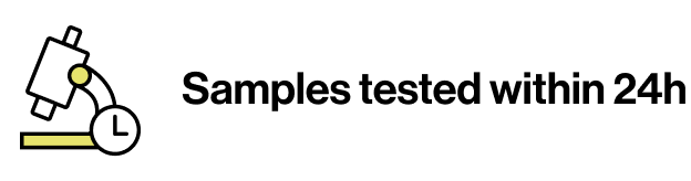 Icon representing 24 hours testing