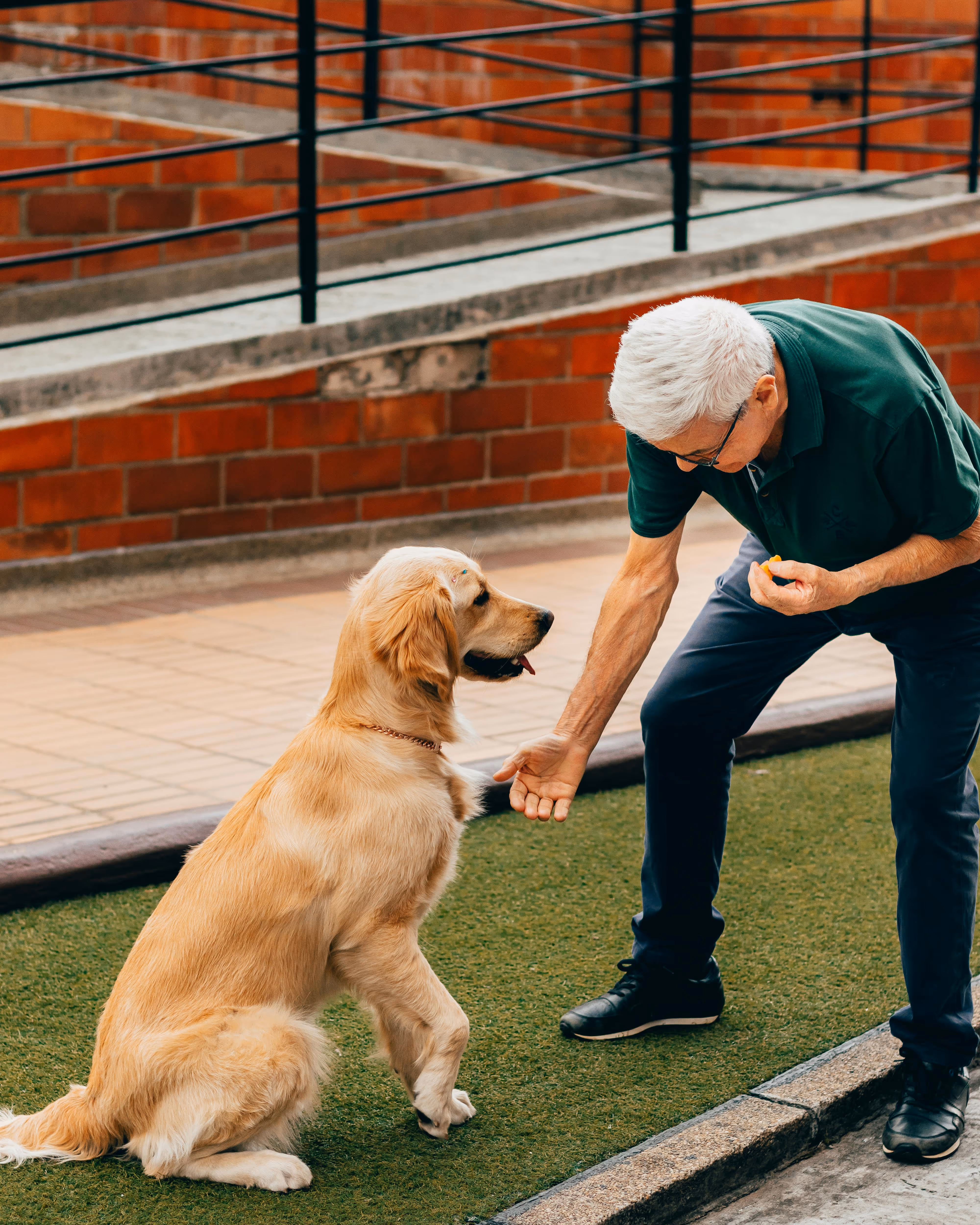 Senior with Dog Stock Photo