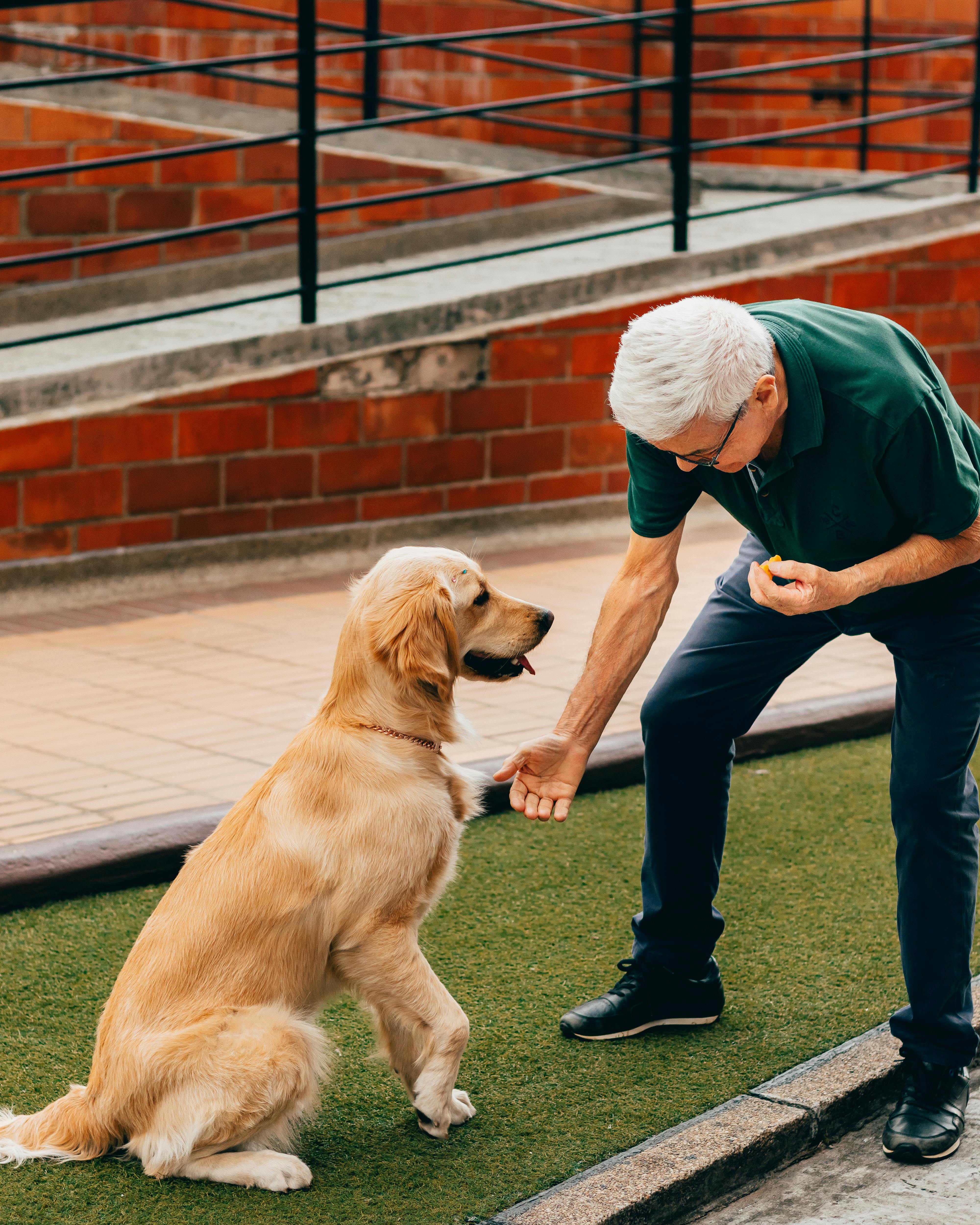 Senior with Dog Stock Photo