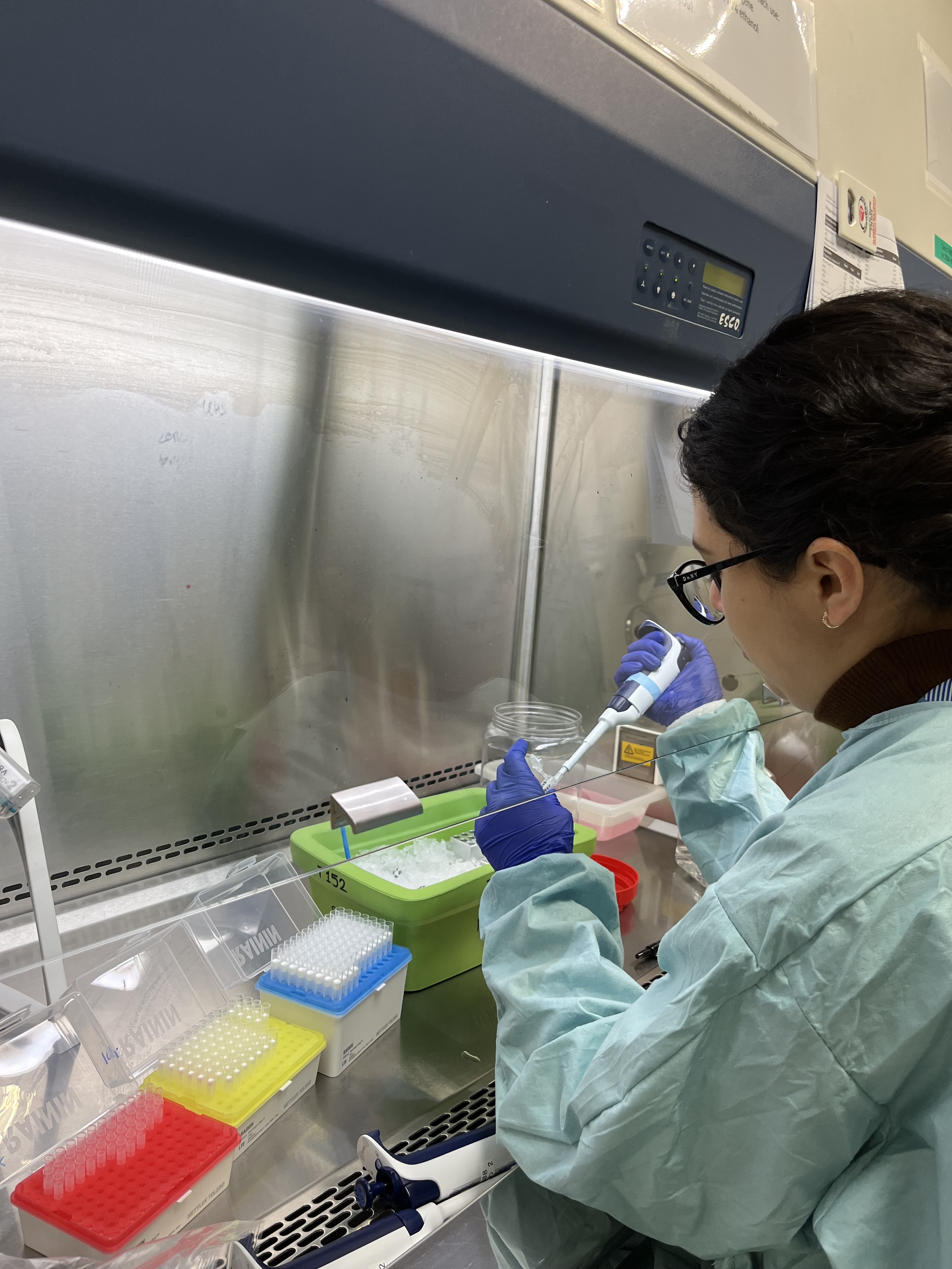 [team] image of pharmacy technician reviewing prescriptions