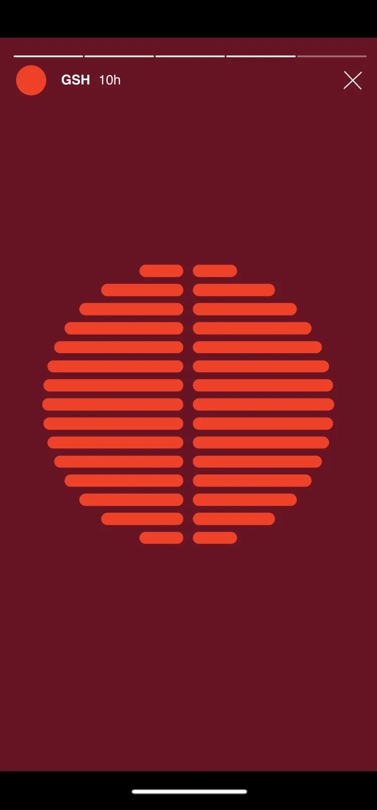 Good Soul Hunting social media marketing Instagram story 4