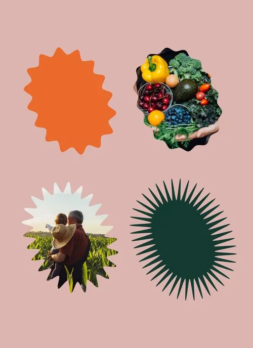 Foodbox iconography by N4 STUDIO