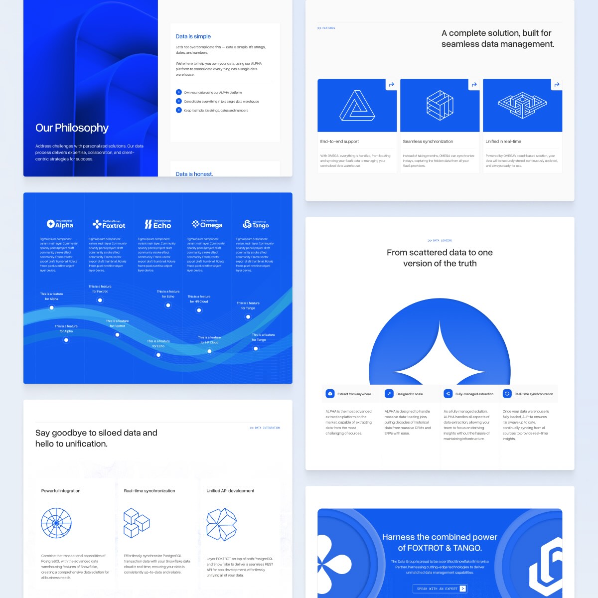 The Data Group home page design