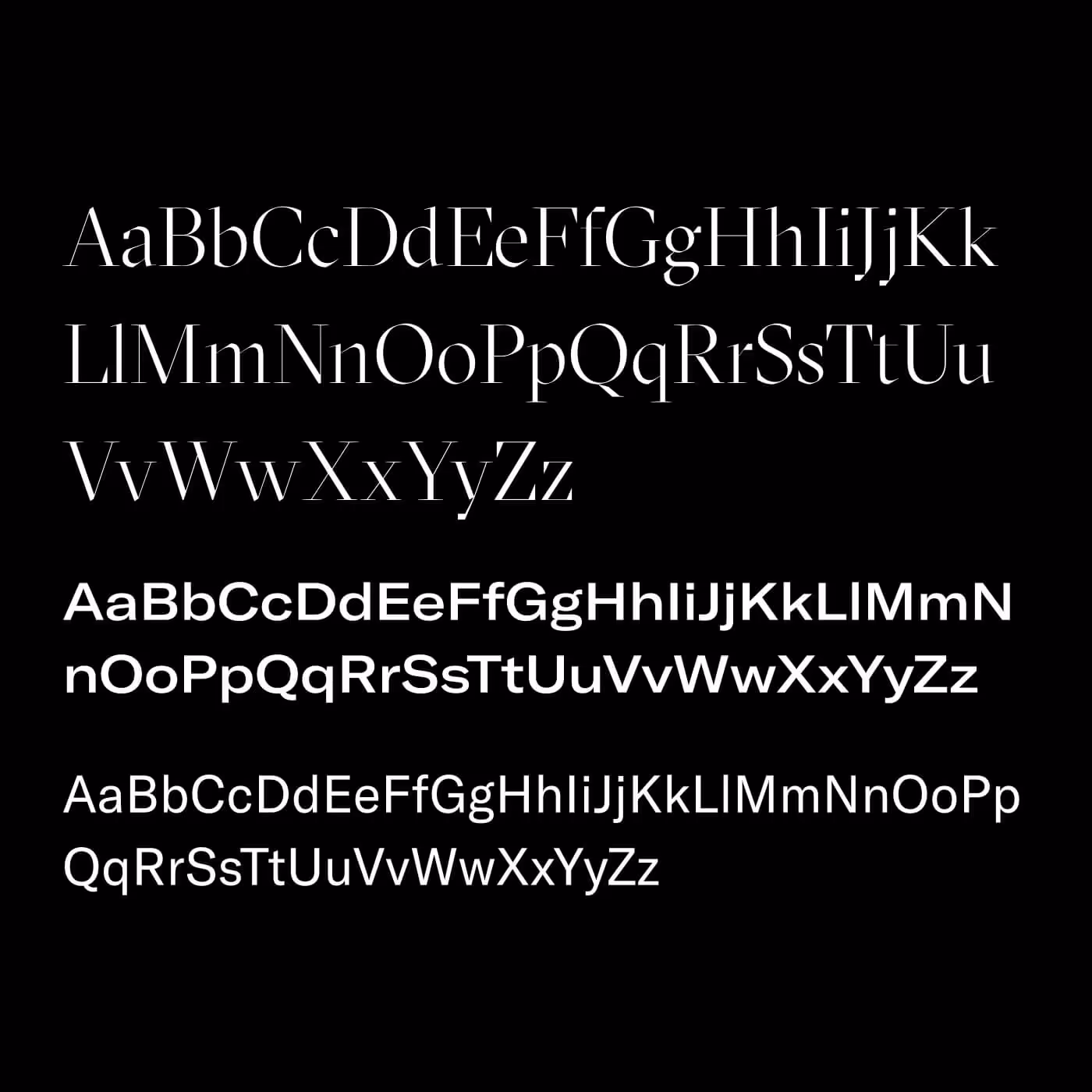 Typography system for The Infinite Search showing serif and sans-serif typefaces in multiple weights and styles, designed to express both intellect and warmth.