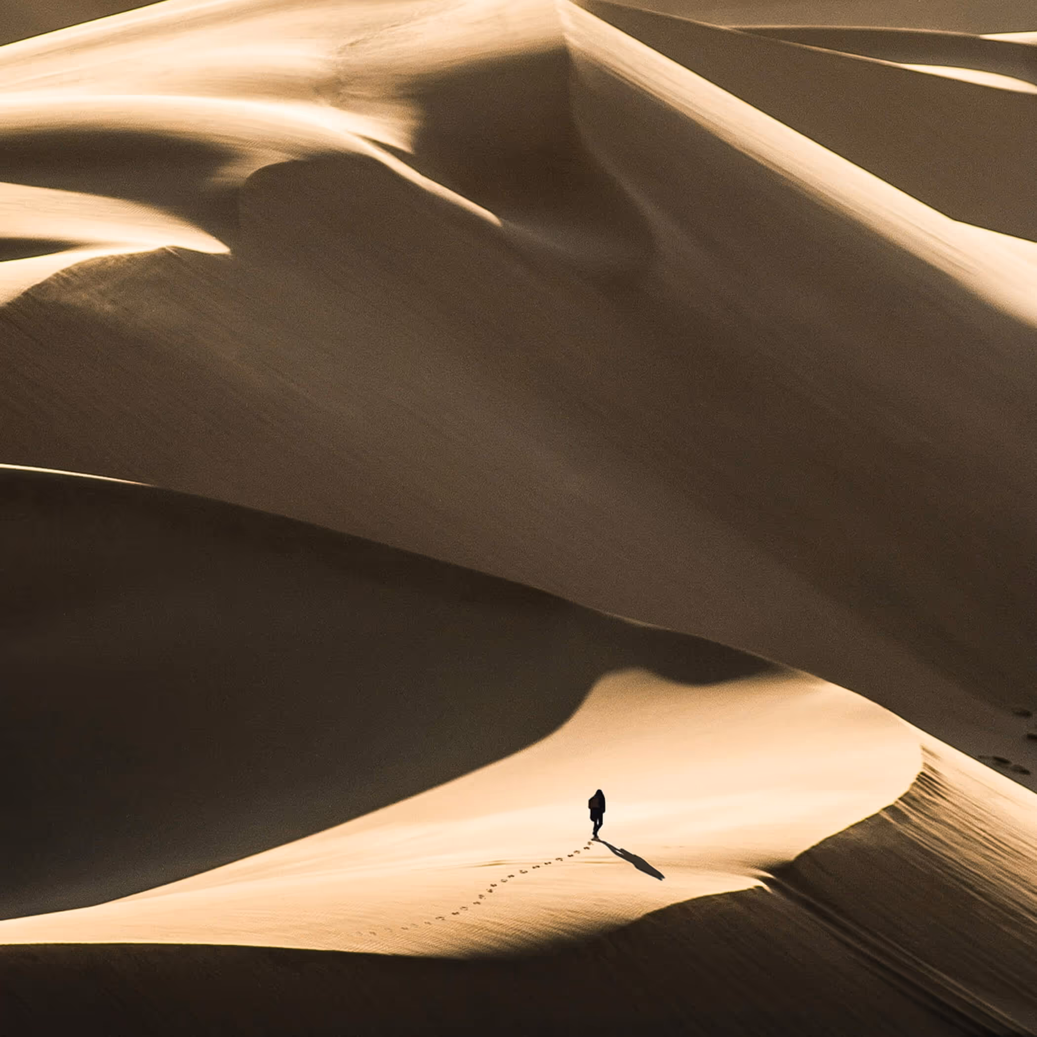 Lone figure walking across vast golden sand dunes in desert landscape