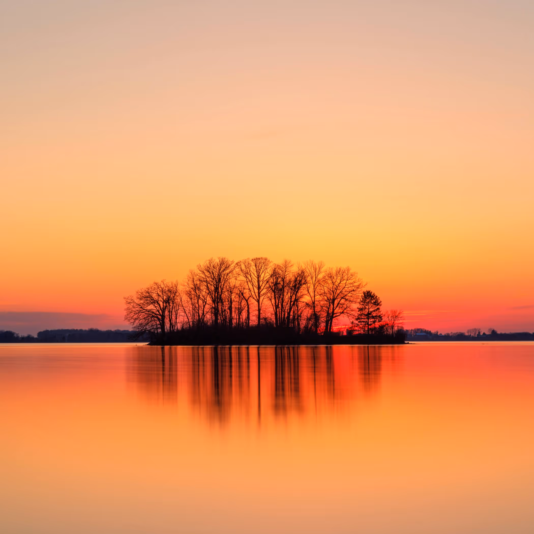 Silhouette of island with bare trees against vibrant orange sunset reflected in calm lake