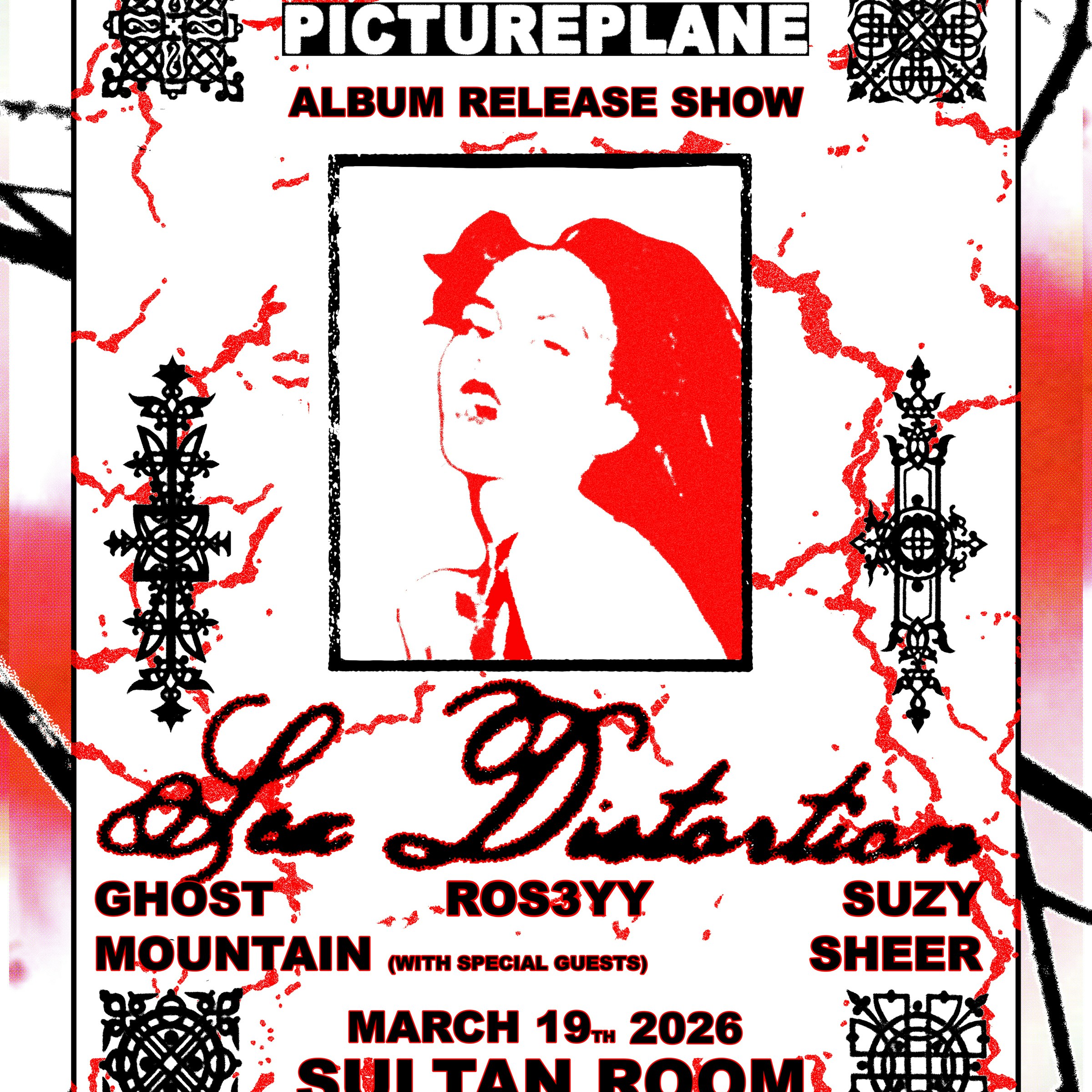 PICTUREPLANE (Album Release), Suzy Sheer, Ghost Mountain, ros3yy