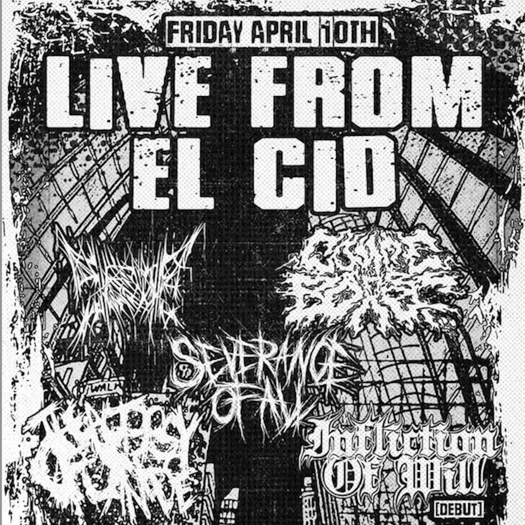 Shrine, Severance of All, Autopsy of Jane Doe