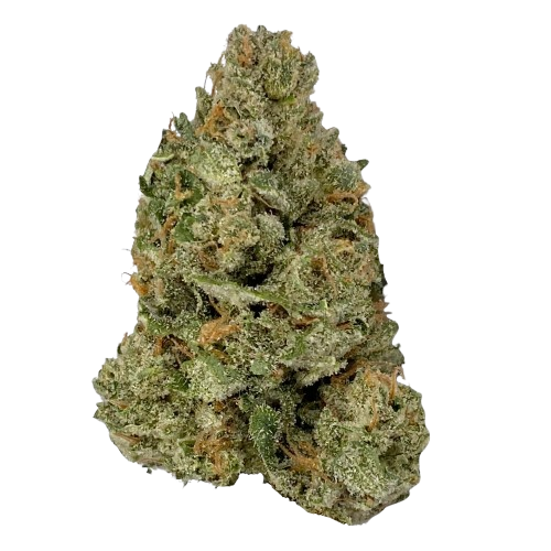 Close-up of a dense green cannabis bud covered with orange hairs and white trichomes.