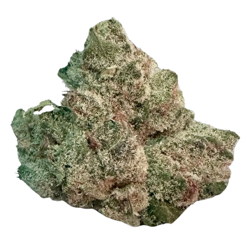 Close-up of a frosty cannabis bud with green and orange hairs and trichomes.