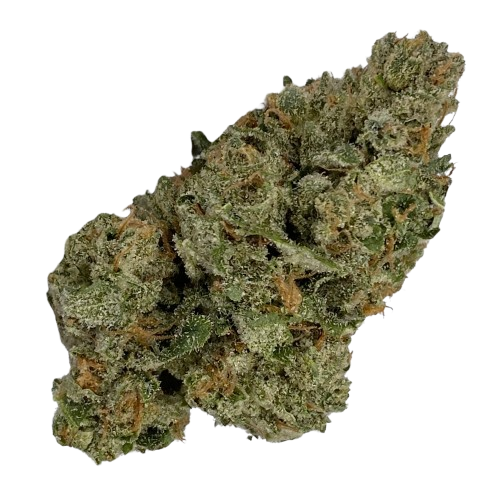Close-up of a dense, green cannabis bud with orange hairs and frosty trichomes.