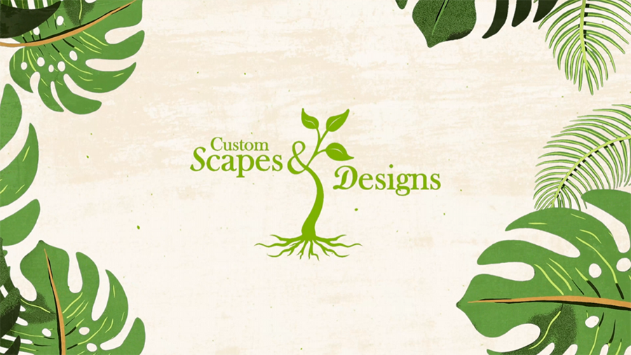 Motion Graphics Service Photo