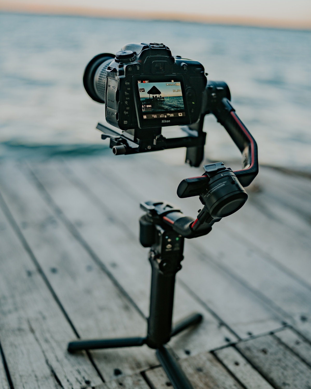 Camera_and_Ronin