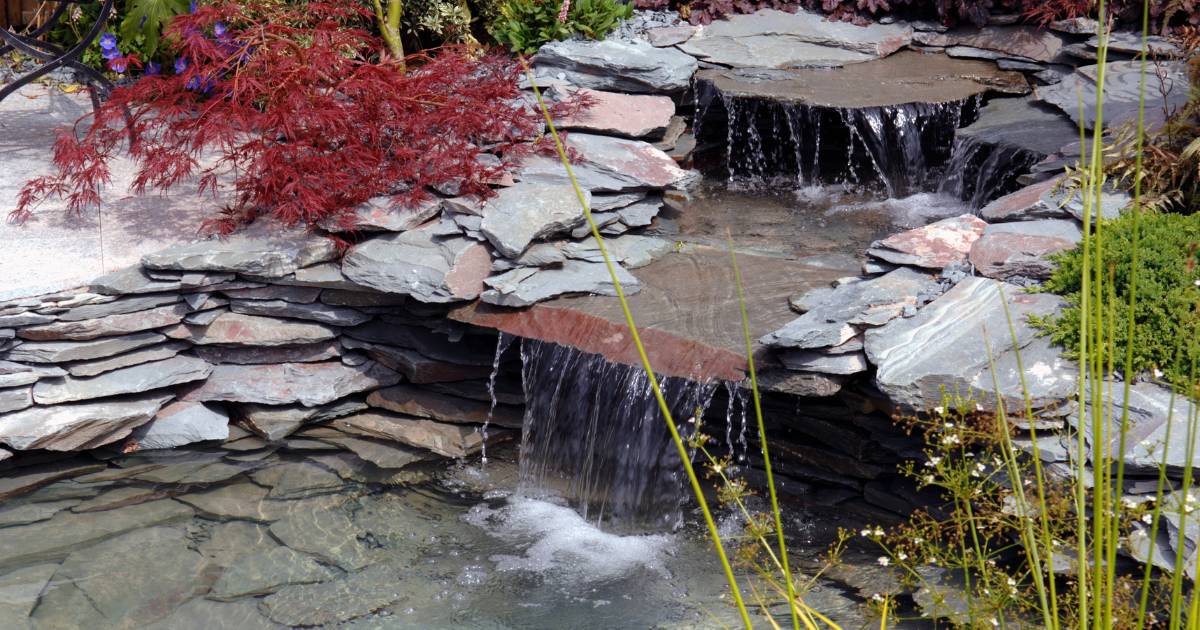 Water Features Graph Image