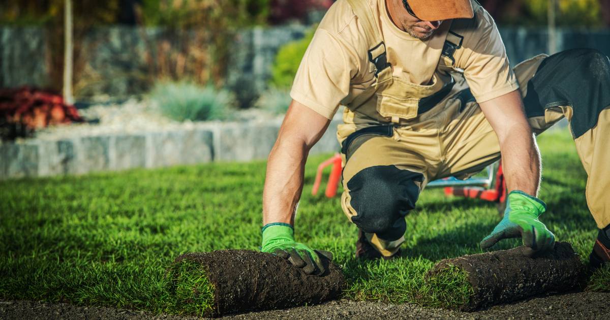 Landscaper working on grass
