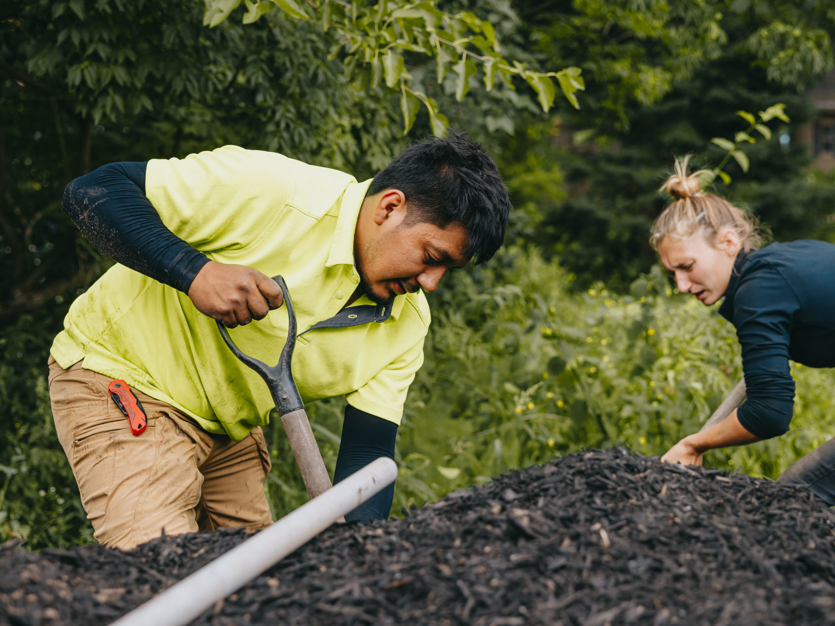 Two landscapers spreading mulch and preparing planting area in residential yard