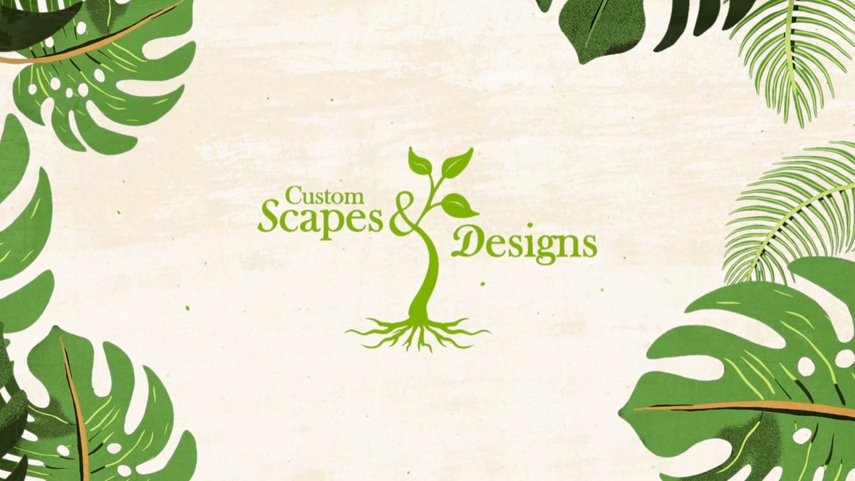 Green 3D Custom Scapes & Designs plant logo created by Identity Start