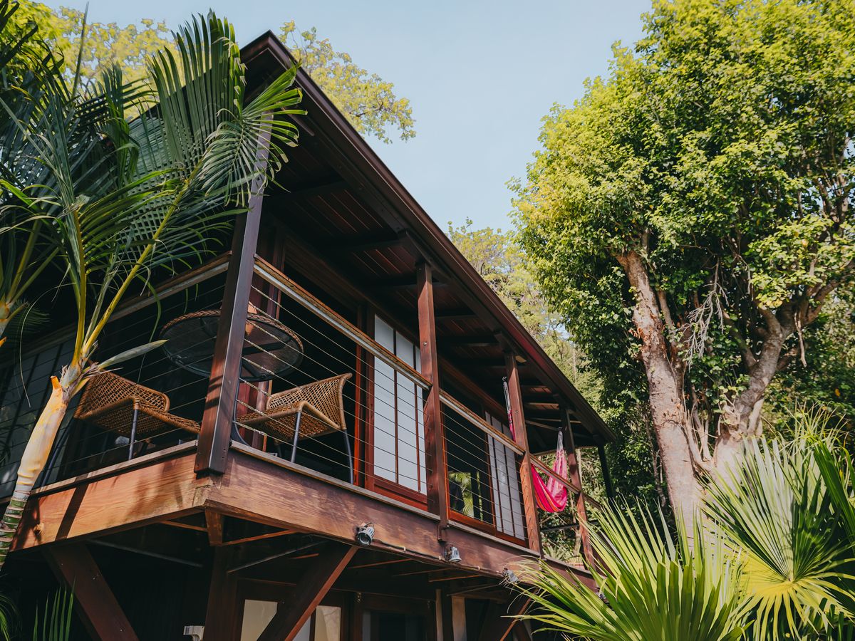Teahouse Treehouse cabin and deck framed by palm trees