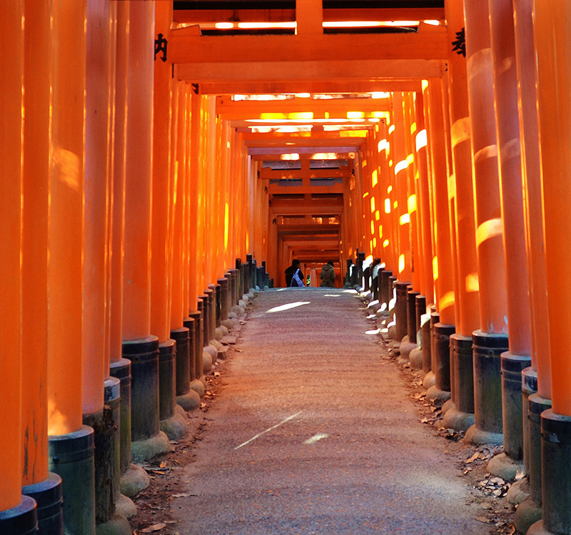 Pathway lined with countless red torii gates illuminated by sunlight