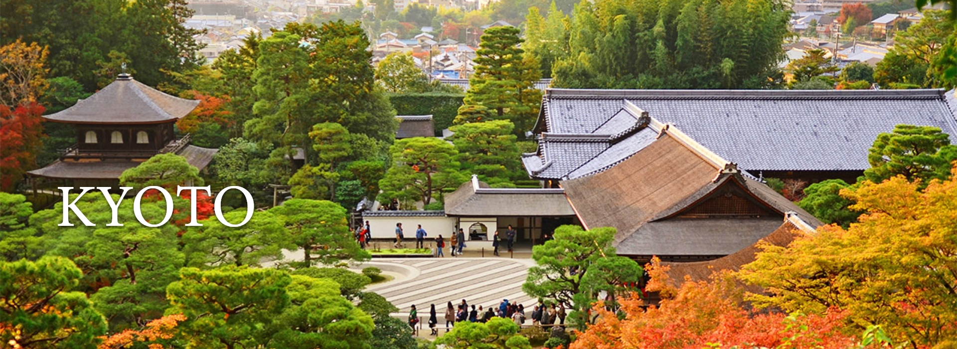 Traditional wooden townhouses and a pagoda in Kyoto’s historic district, framed by blooming cherry blossoms.
