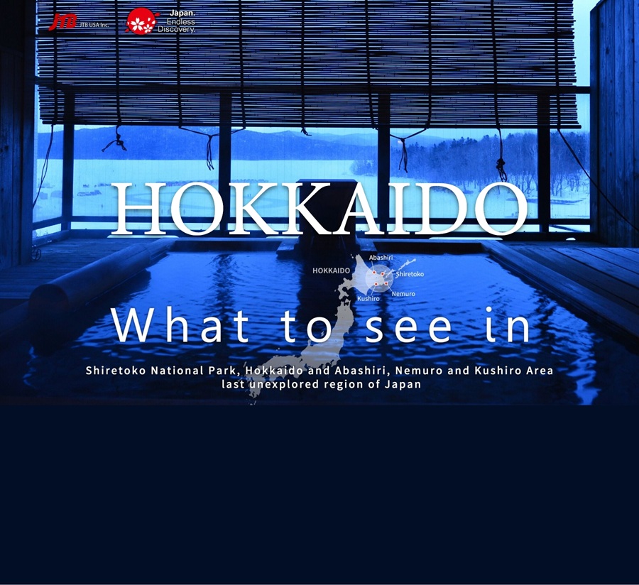 Snow-covered landscape of Hokkaido viewed through traditional bamboo blinds from a warm indoor onsen