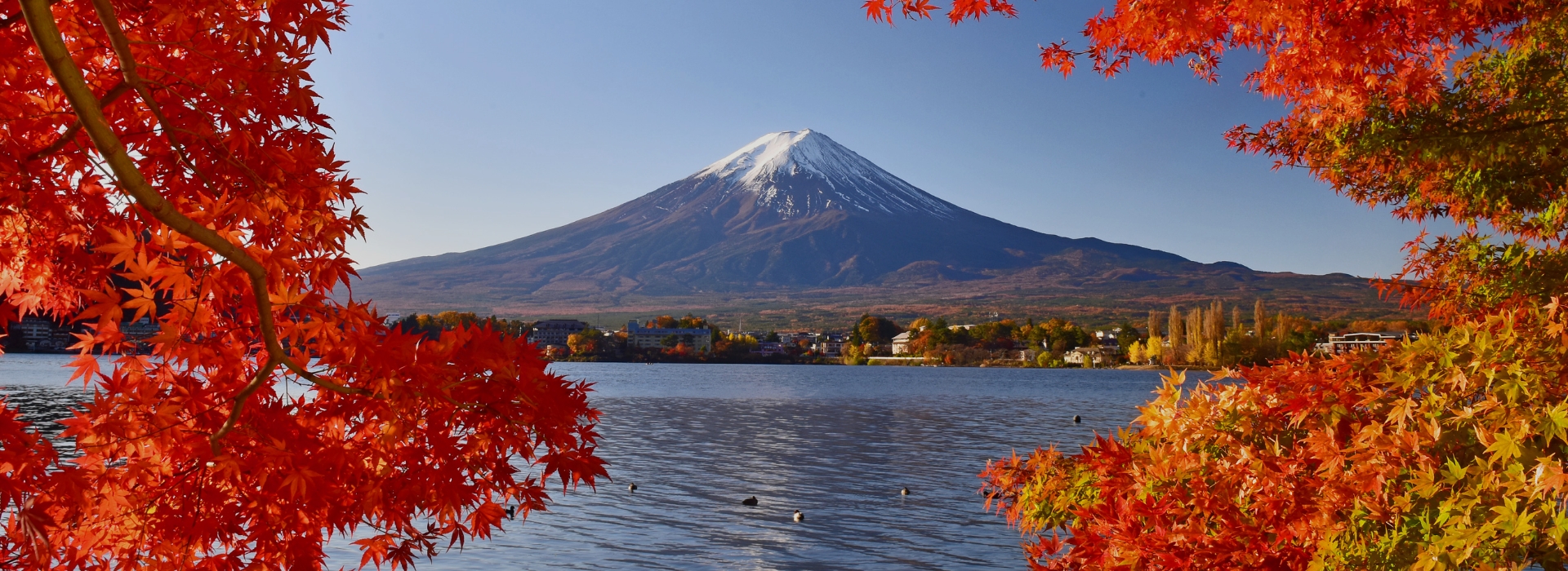 Collage of Mount Fuji and surrounding attractions: Lake Ashi with a pirate ship, autumn leaves, Chureito Pagoda, and summer beach scenery.