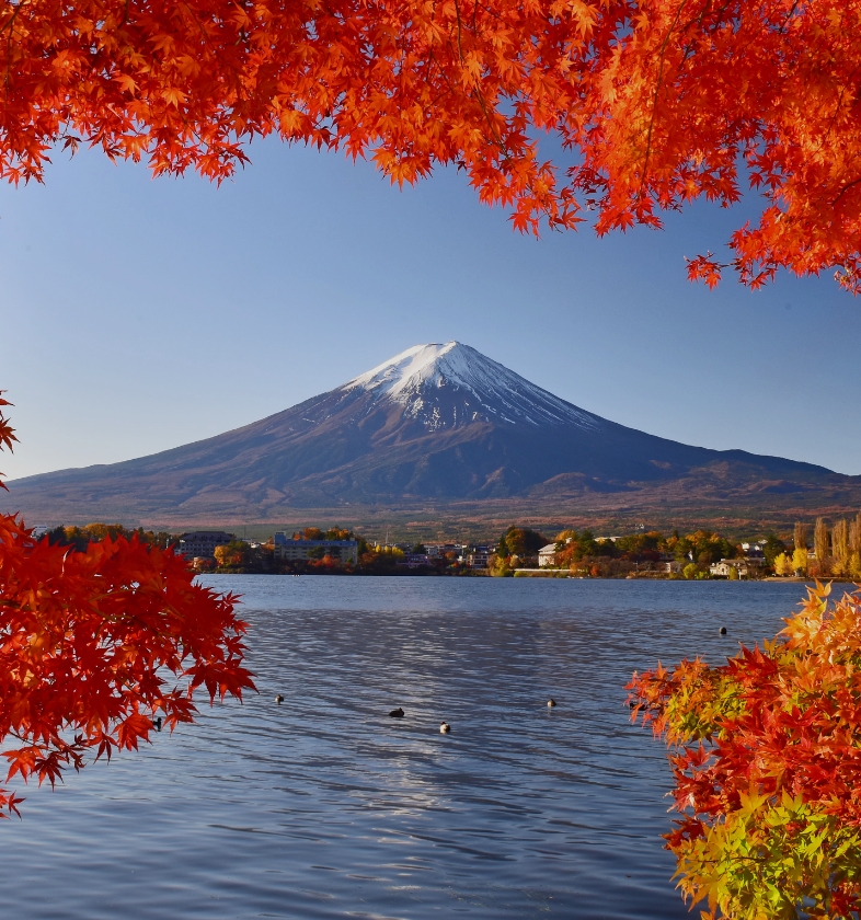 Collage of Mount Fuji and surrounding attractions