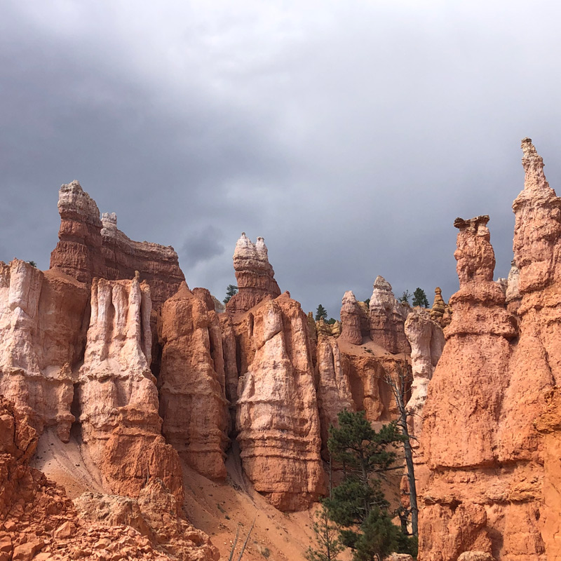 Bryce Canyon Hoodoos