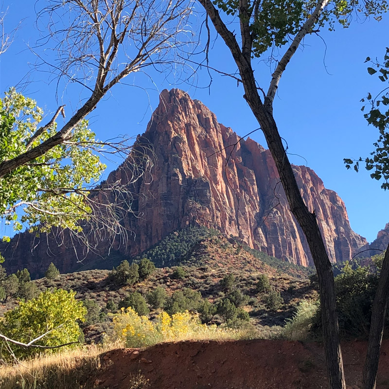 Zion The Watchman