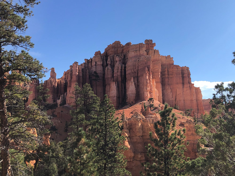 Bryce Canyon Hoodoos Wall