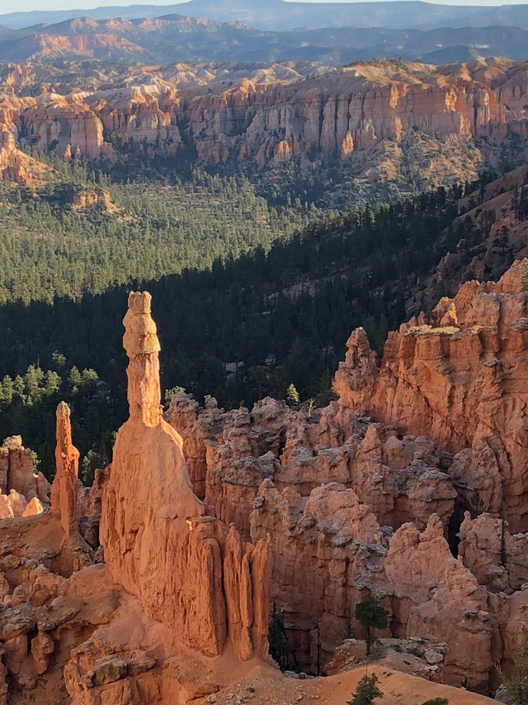 Bryce Canyon Hoodoo