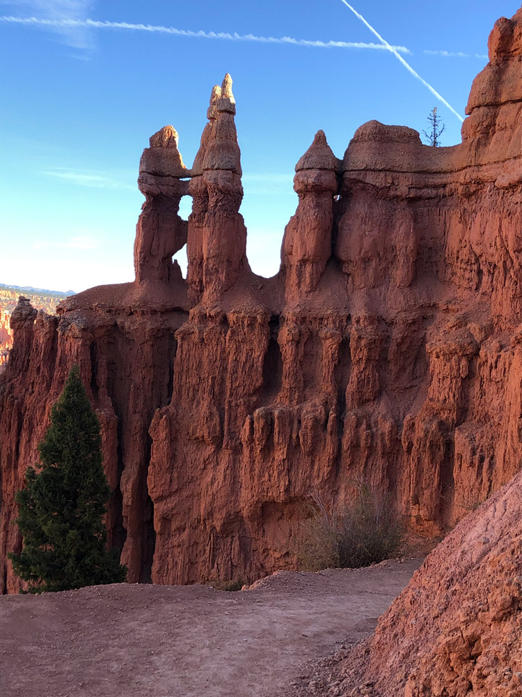 Bryce Canyon hoodoos