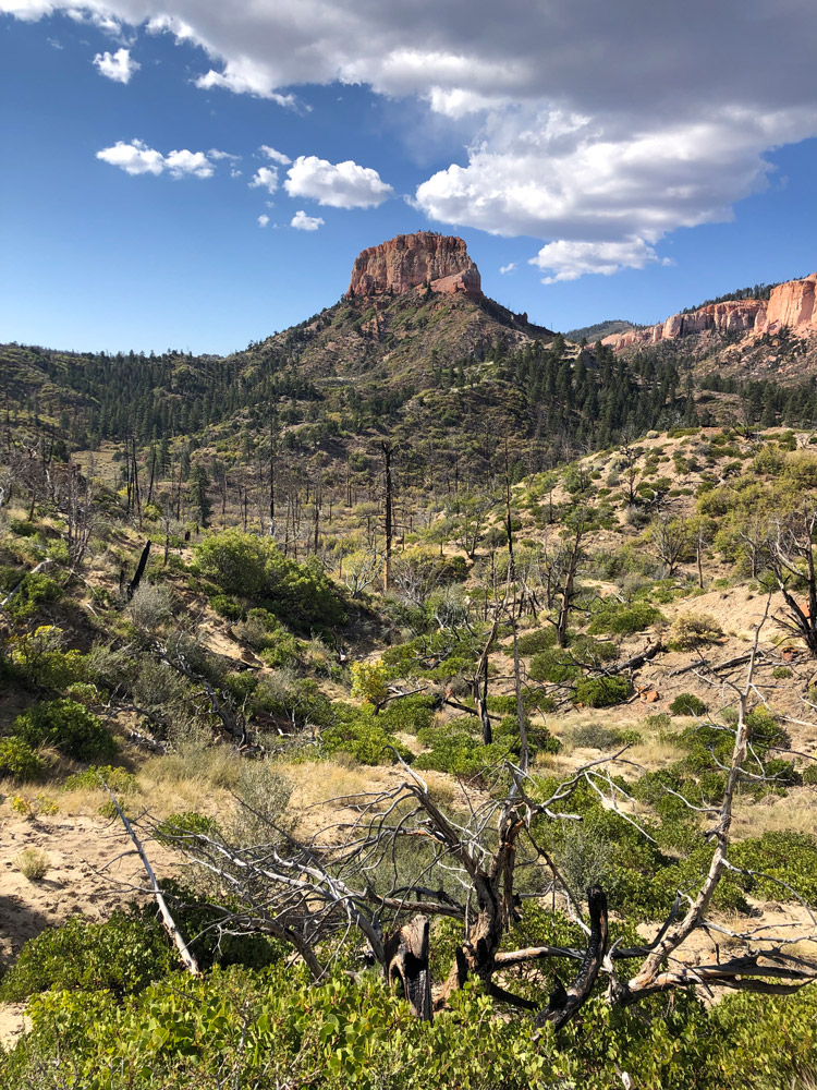 Bryce Canyon Swamp Canyon