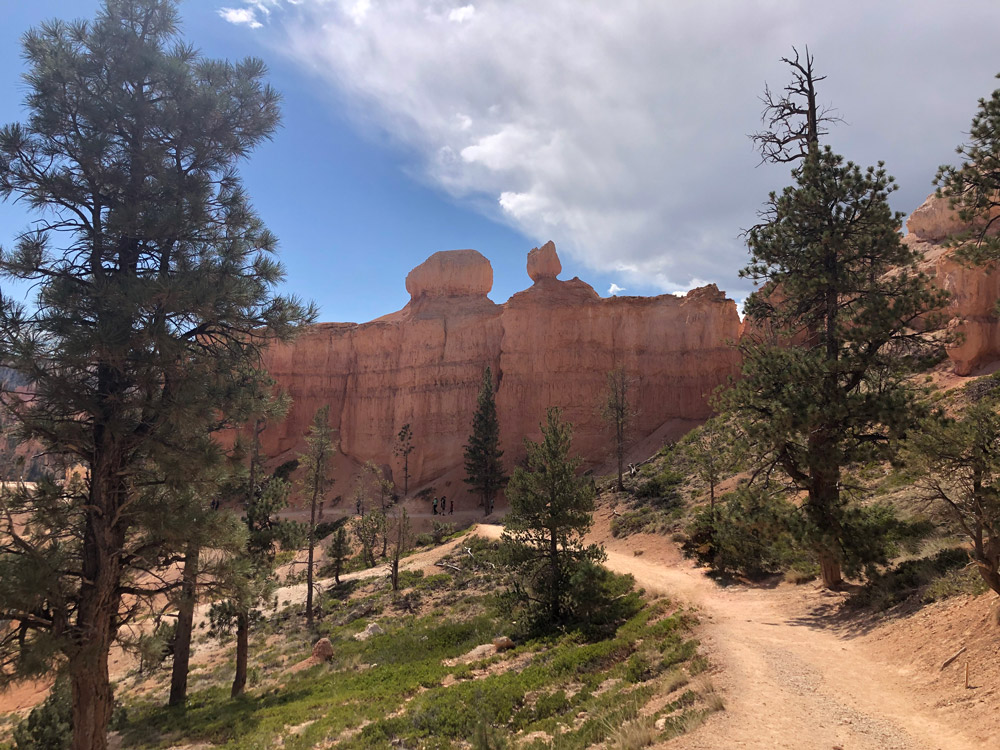 Bryce Canyon Hoodoo wall