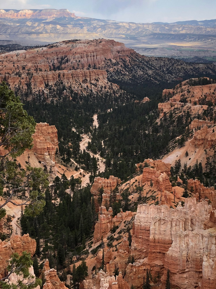 Bryce Canyon Hoodoos Overview